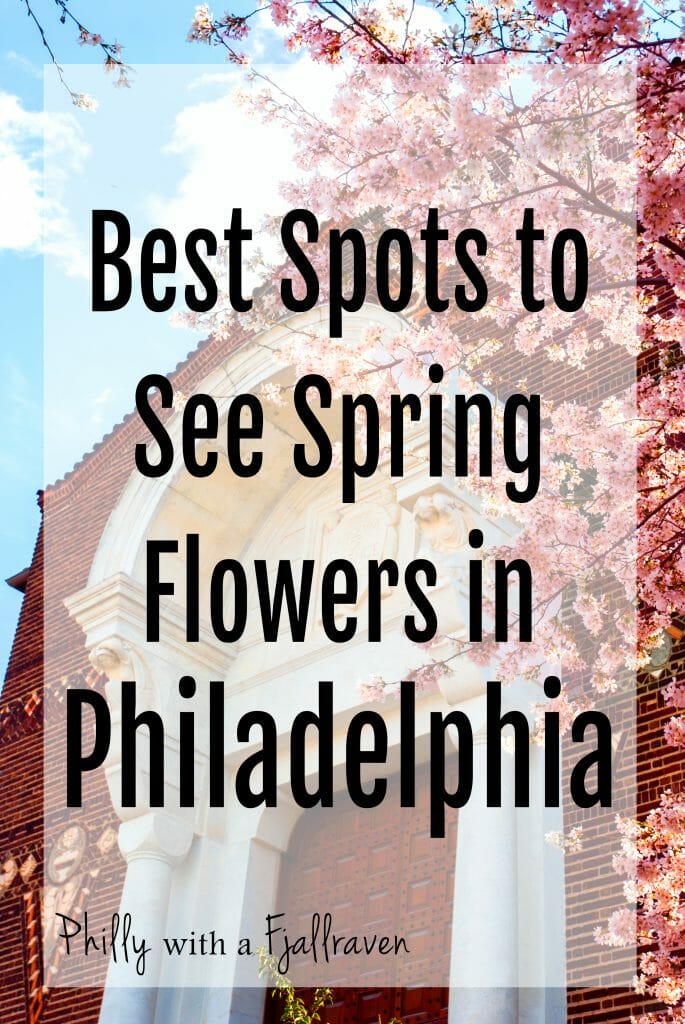 Best spots to see spring flowers in Philadelphia
