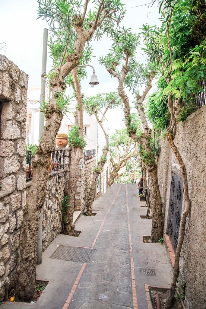 Capri alley