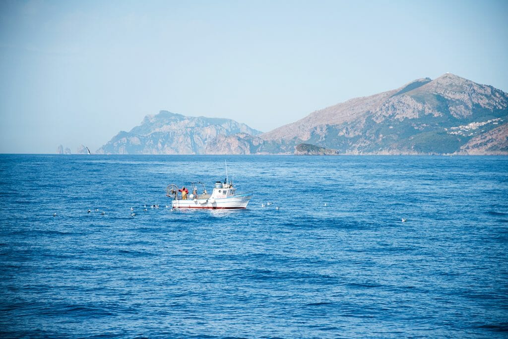 Fishing around Capri