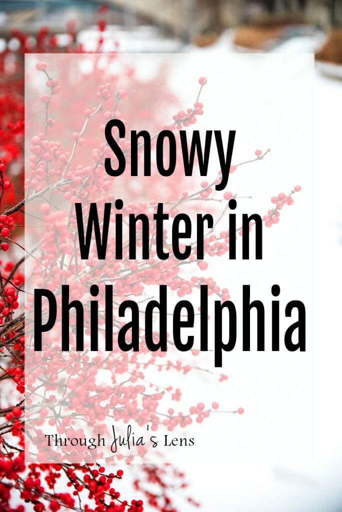 Snowy Winter in Philadelphia