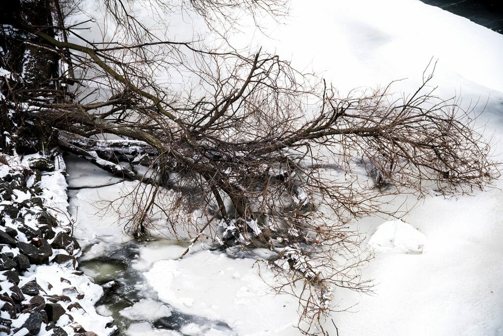 Frozen Schuylkill River