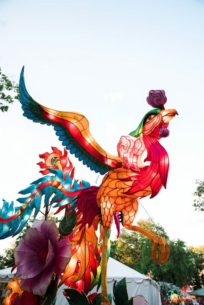 Colorful bird Chinese lantern