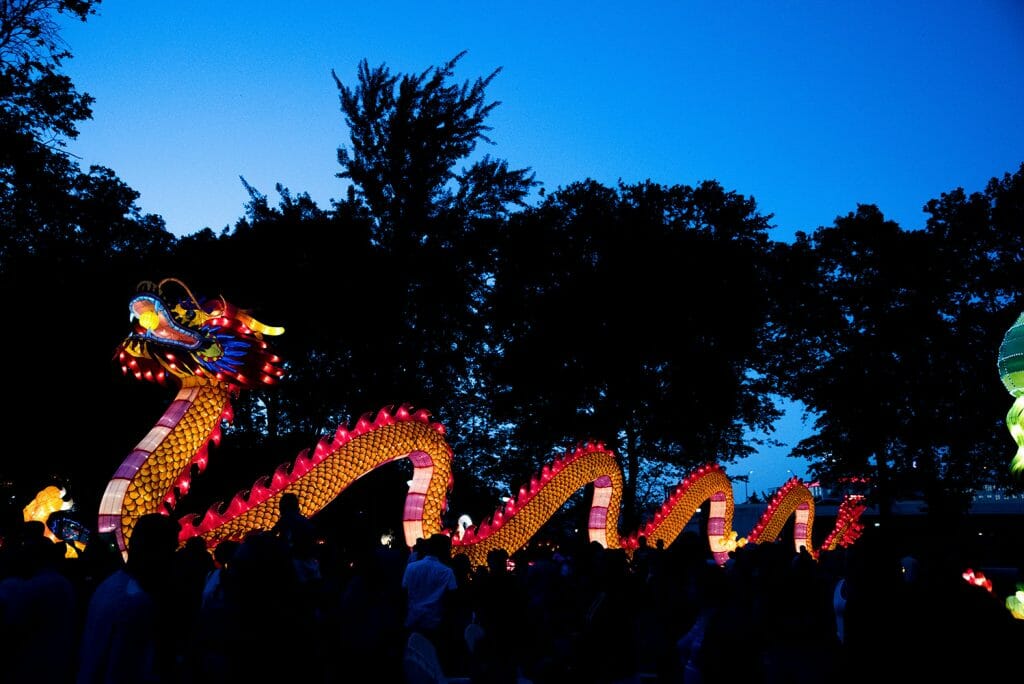 Chinese lantern dragon