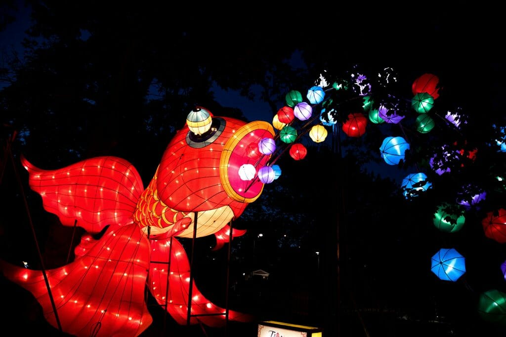 Fish lantern