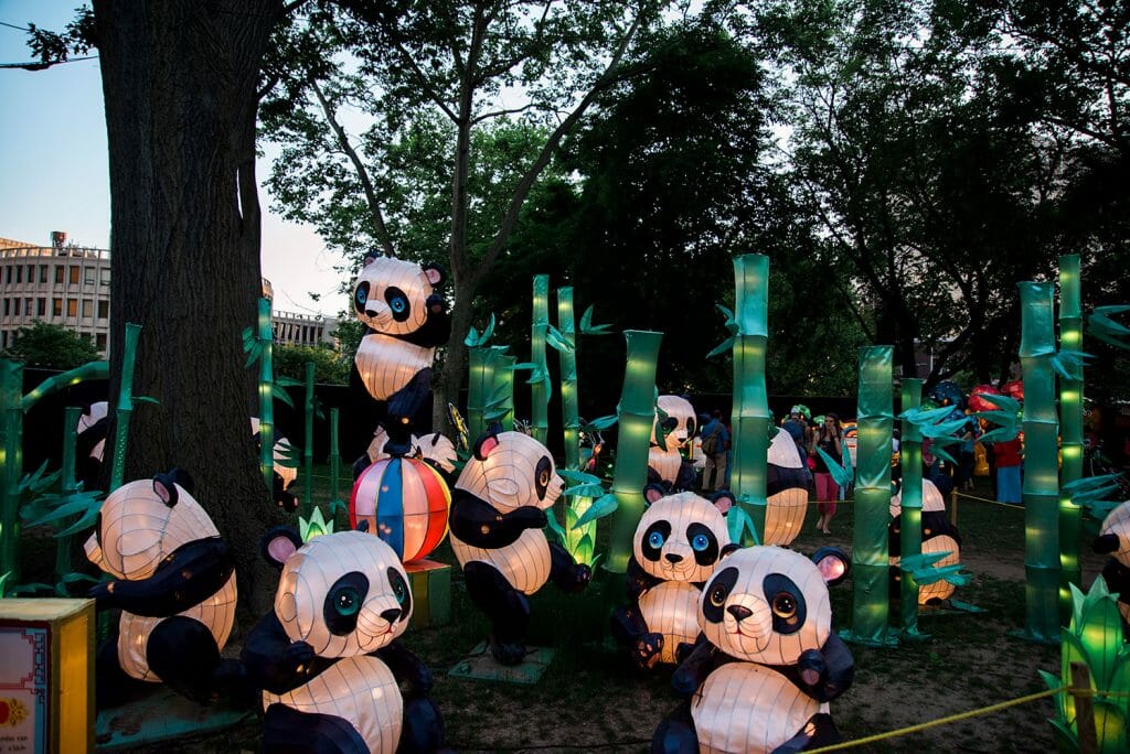Panda bear Chinese lanterns