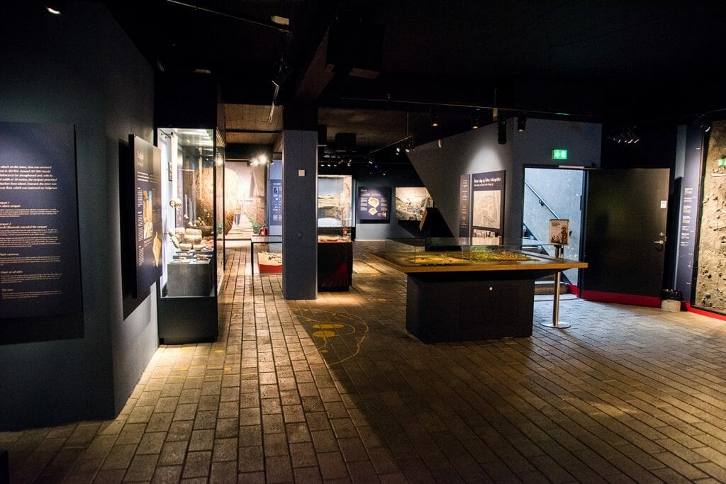 Aarhus Viking museum