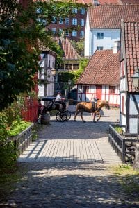Aarhus horse and buggy