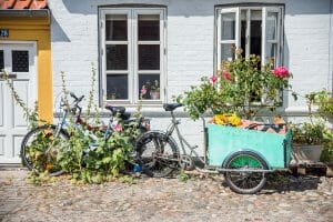 Bikes in Denmark