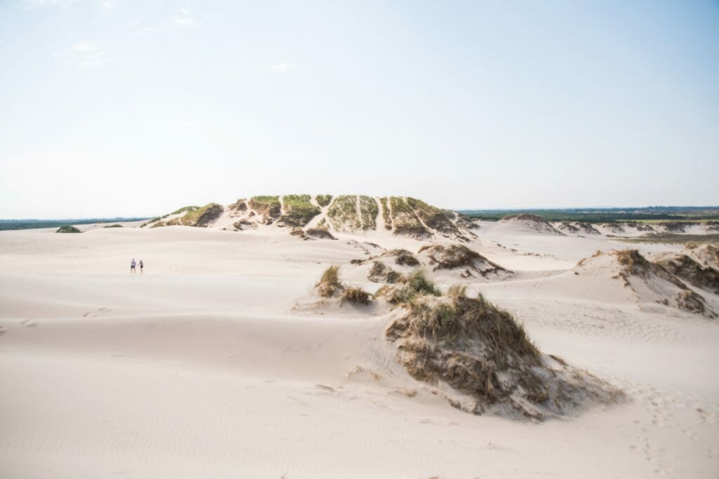 Skagen sand dunes