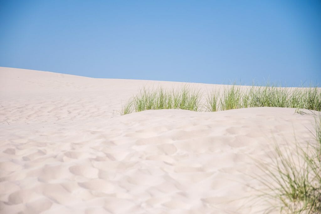 Sand dunes in Skagen