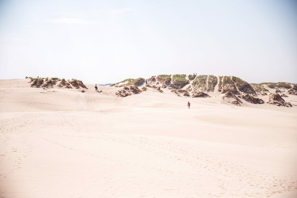 Sand dunes in Denmark