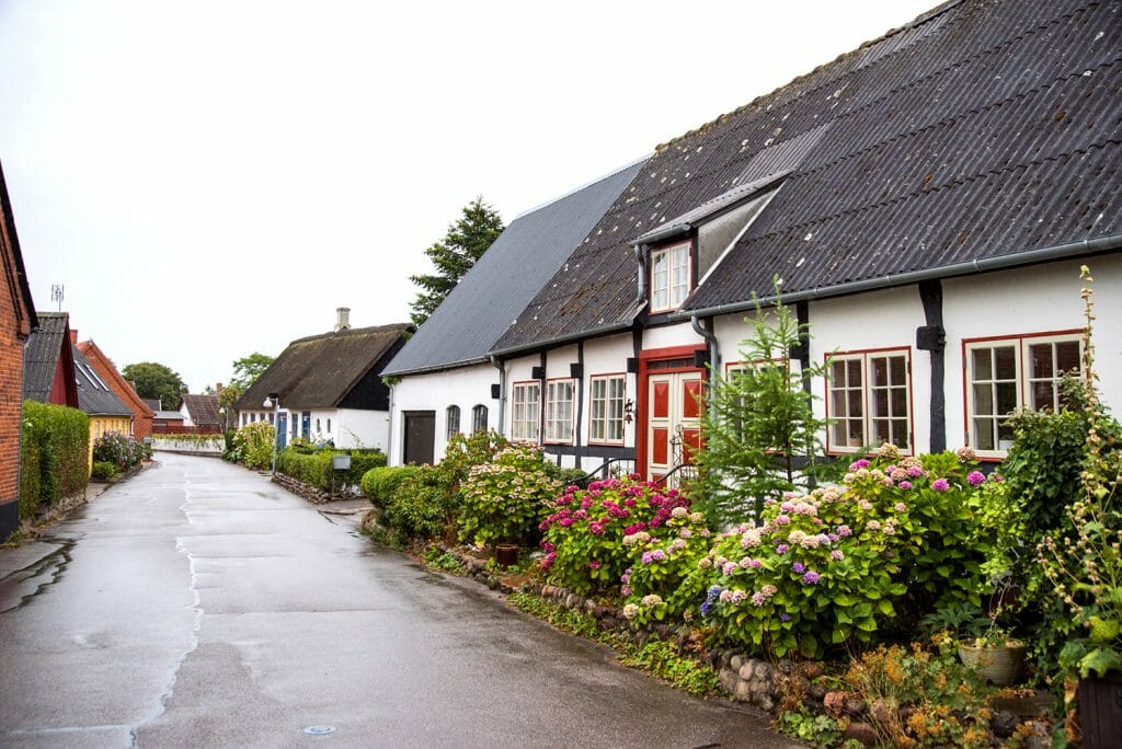 Scandinavian style houses