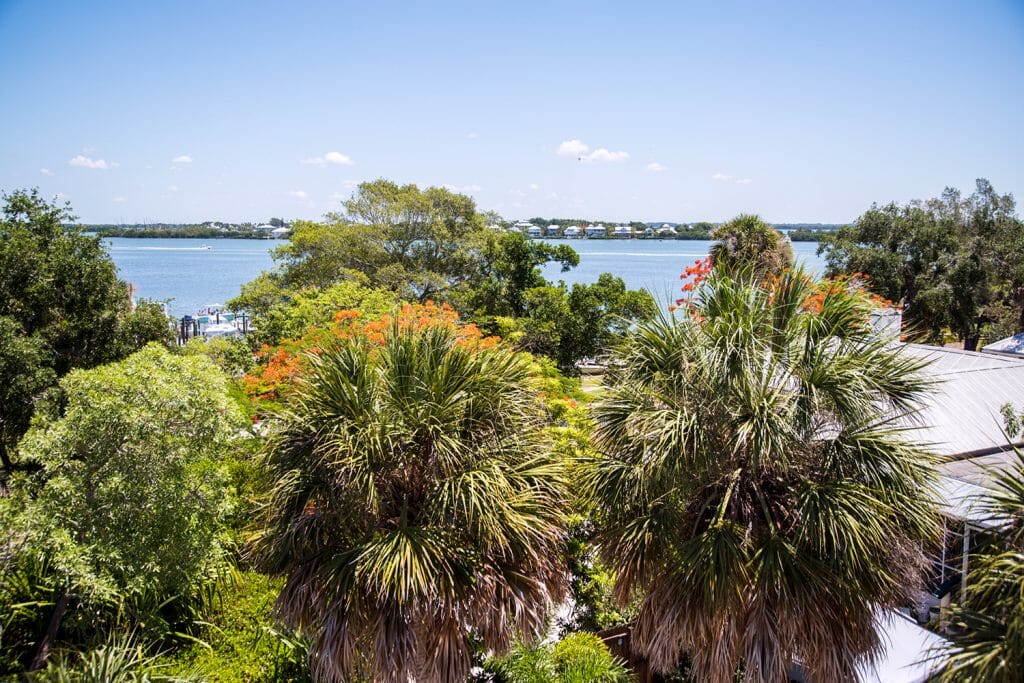 View from water tower on Cabbage Key