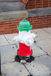 Painted fire hydrant in Little Italy in Baltimore