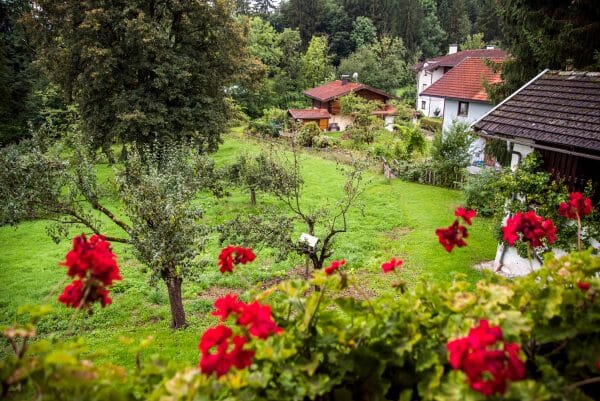 Garden in chalet in Austrian Alps