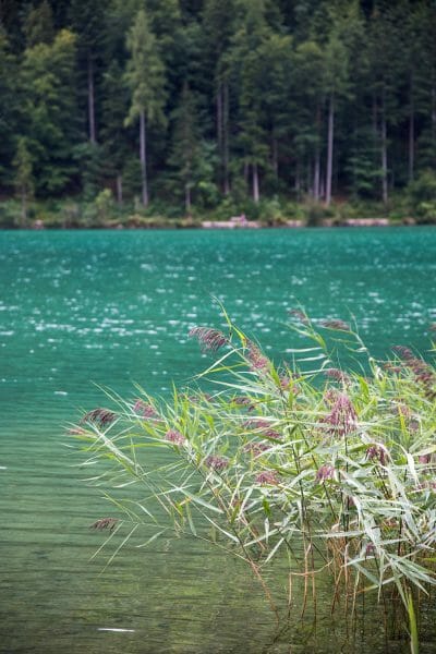 Turquoise lake in Austria