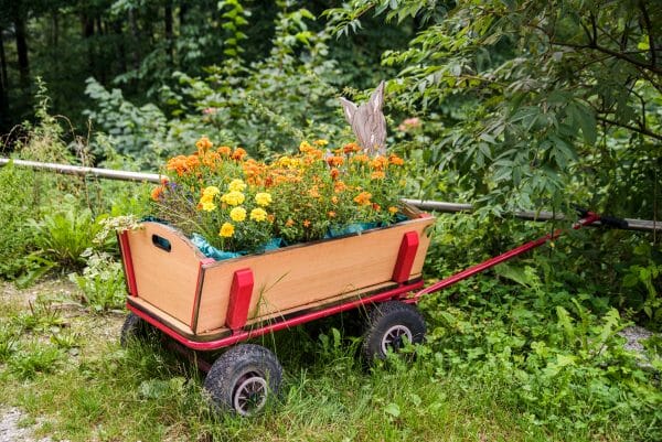 Wagon filled with flowers