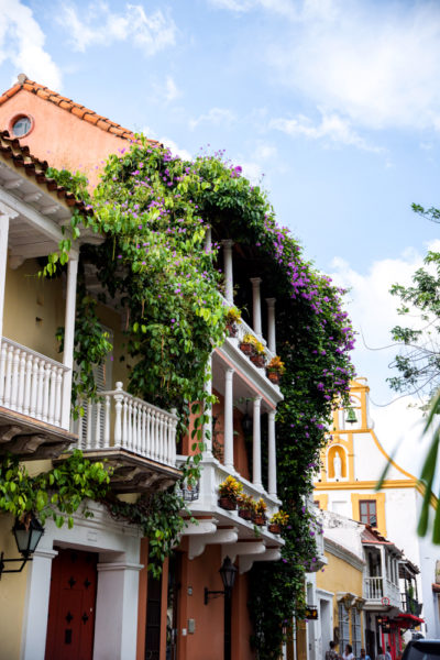 Historic houses with vines in old city Cartagena