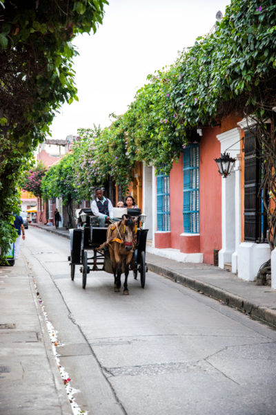 Horse drawn carriage in Cartagena