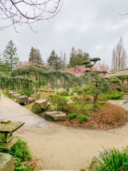 L'lle de Versailles (Japanese botanical garden)