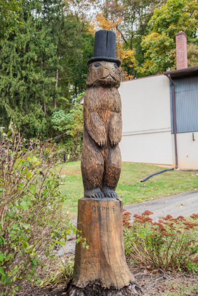 Groundhog in top hat carved out of tree