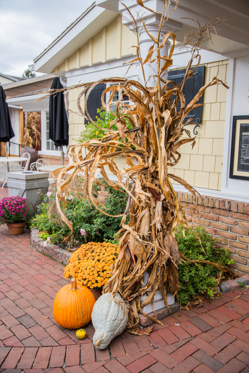 7 Fun Things to Do in Lancaster, PA in the Fall | Through Julia's Lens