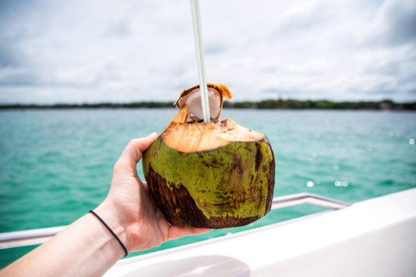 Drink in a coconut