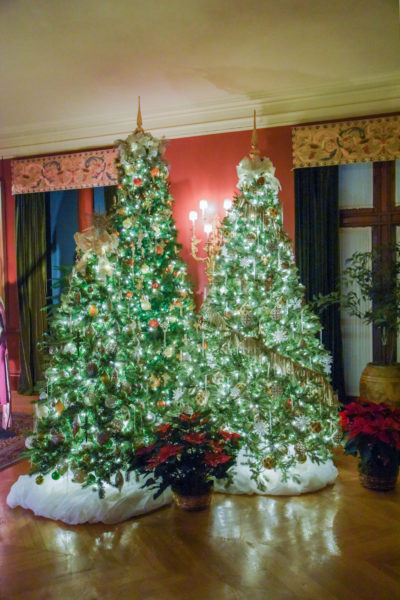 Christmas trees in the Biltmore