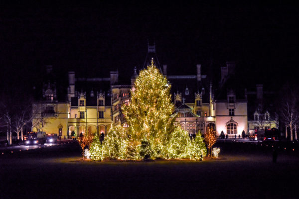 Biltmore estate at night with light up Christmas trees
