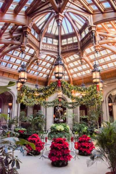 Winter garden with poinsettias in the Biltmore