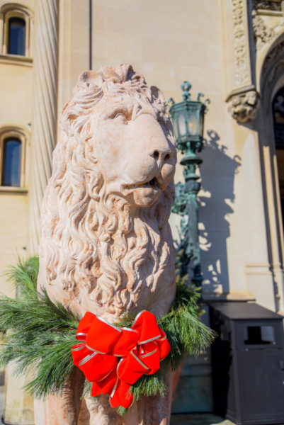 Lion statue with Christmas wreath outside the Biltmore