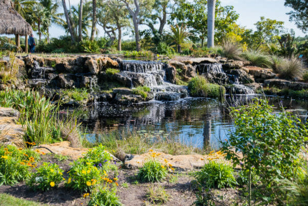 Small waterfall on stones at the Naples Botanical Gardens