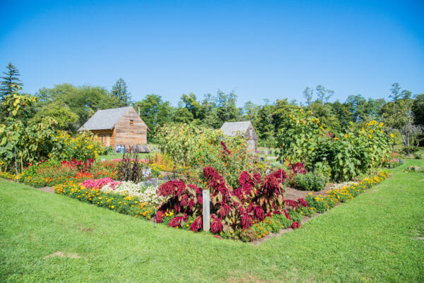Garden with pink and red flowers and wooden shed at Fort Ticonderoga