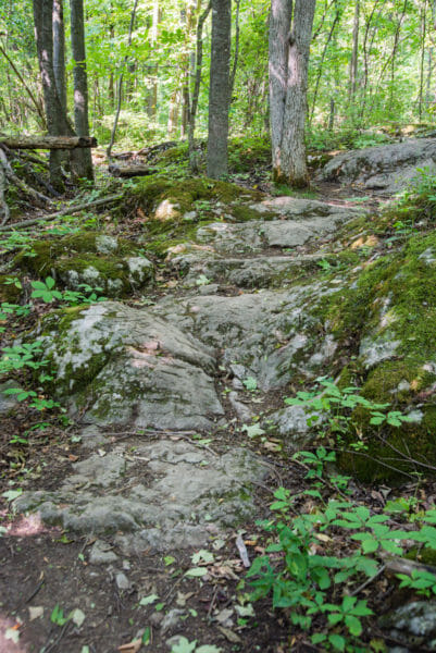 Hiking trail at Grand Isle State Park, Vermont