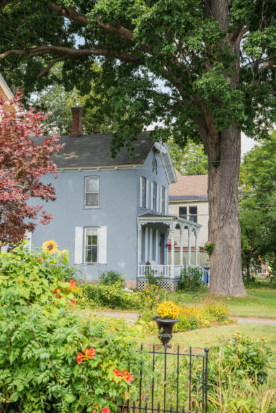 Blue Victorian house with sunflower garden and tree in Plattsburgh, NY