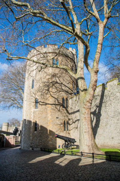 Stone tower next to a tree without leaves at the Tower of London