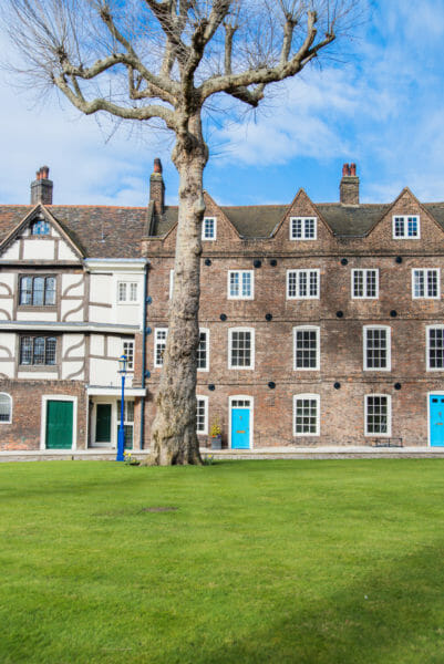 Large tree in front of brown brick townhouses with blue doors at the Tower of London