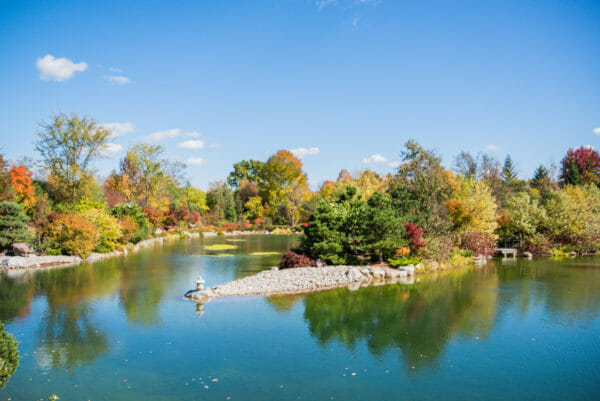 Pond with fall foliage at Meijer Gardens in Grand Rapids, MI