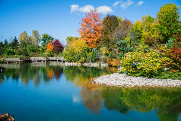Pond with trees changing to fall colors at Meijer Gardens