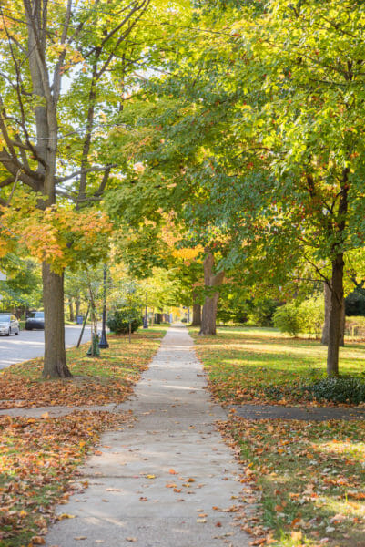 Fall foliage lining sidewalk in Grand Rapids, MI