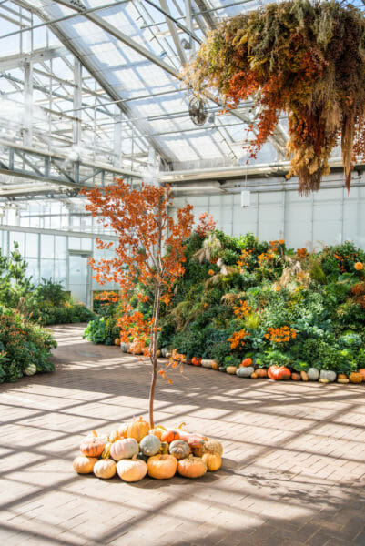 Pumpkin decorations in greenhouse in Meijer Gardens