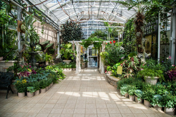 Inside greenhouse with a variety of plants in Meijer Gardens