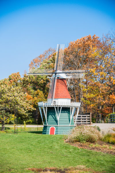 Windmill in Windmill Island Gardens