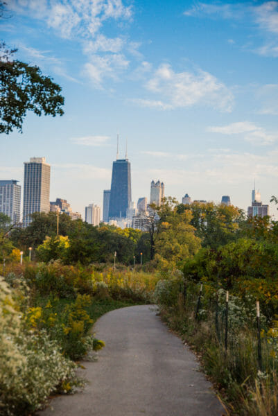 Chicago skyline from Lincoln Park