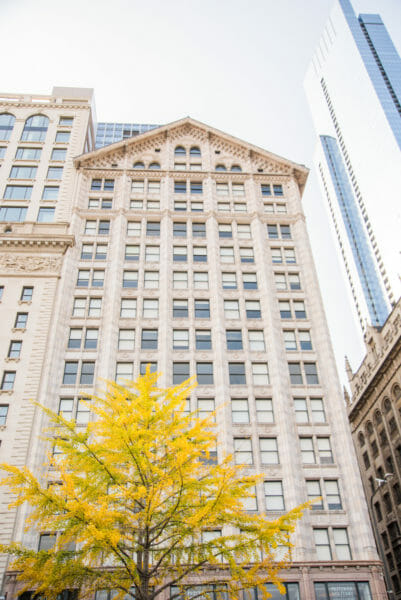 Historic skyscraper with tree with yellow leaves in Chicago