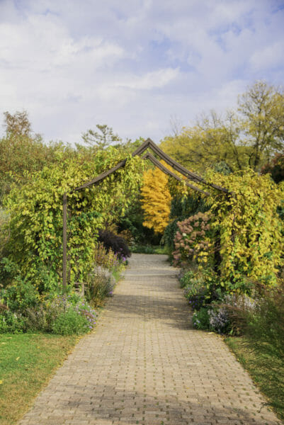 Walkway with wooden archways at Olbrich Botanical Gardens