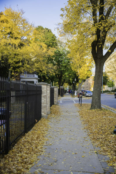 Sidewalk covered in leaves in Madison