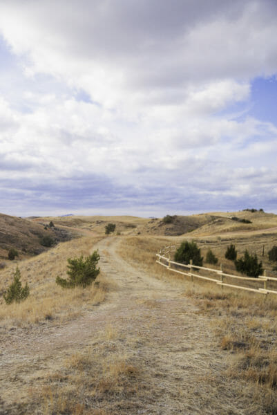 Path through a grass field in North Dakota