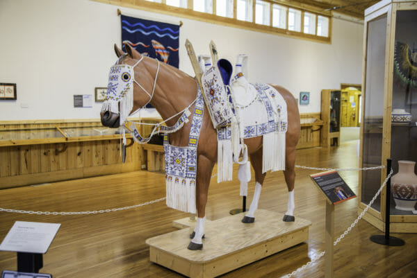 Horse in Native American dress in the Crazy Horse museum