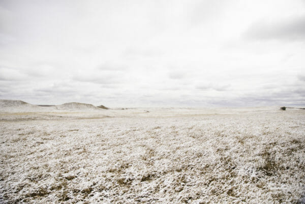 Grassland covered in snow